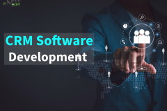CRM Software Development